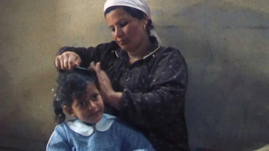 Watch film Israel Palestina on Swedish TV 1958-1989 | ISRAEL PALESTINE ON SWEDISH TV 1958-1989 Trailer