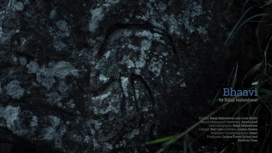 Watch film The Well | Bhaavi | The Well - Feature Documentary Trailer