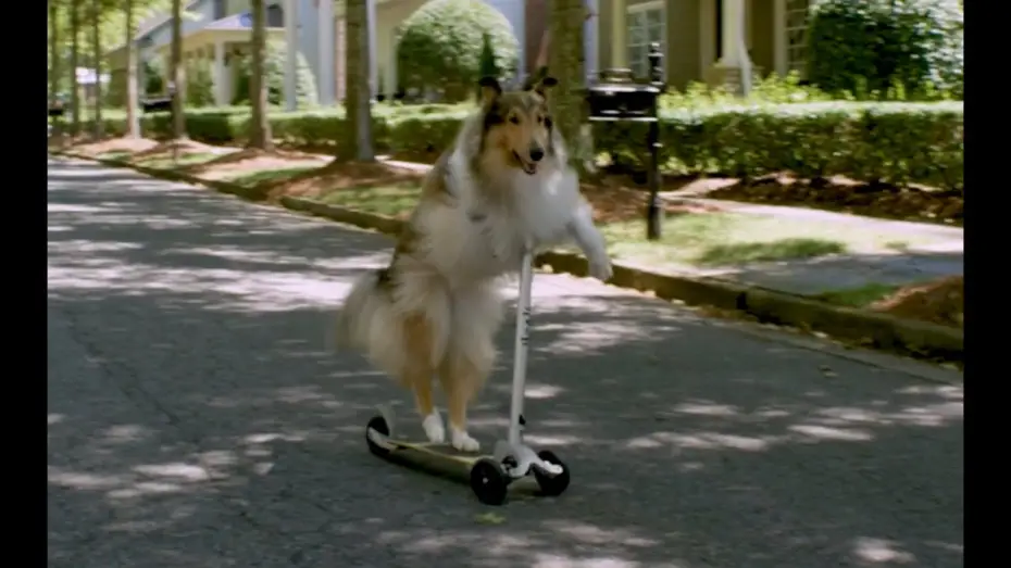 Watch film Five Date Rule | Five Date Rule - Trailer