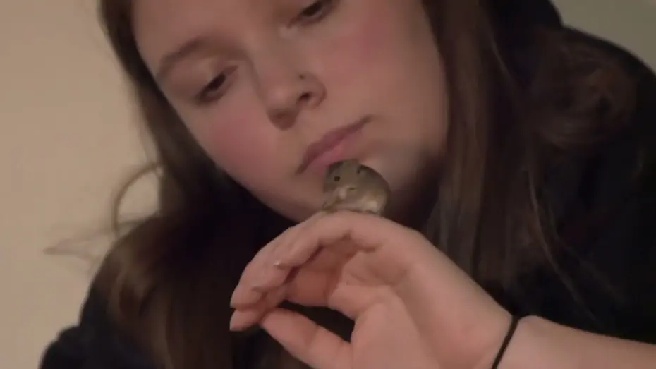 Watch film Mouse | Mouse - Short Film BTS