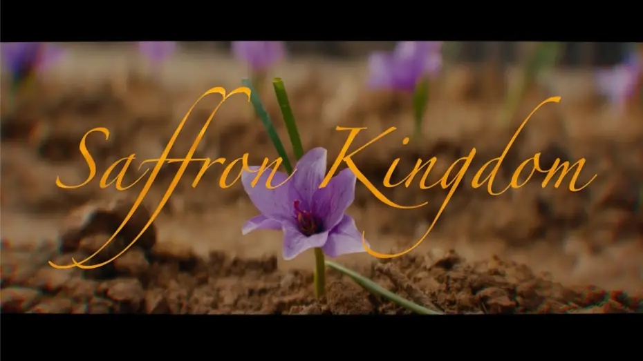 Watch film Saffron Kingdom | Saffron Kingdom | Official Trailer 2