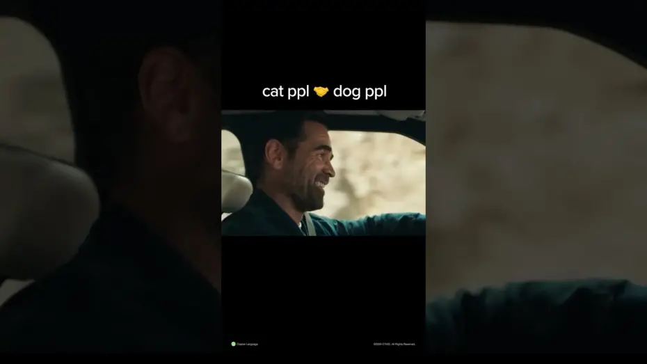 Watch film A Big Bold Beautiful Journey | Cat vs Dog People