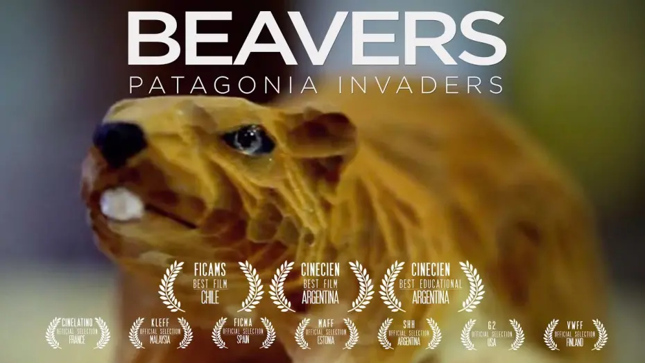 Watch film Beavers: Patagonia invaders | Beavers. Patagonia invaders. Trailer