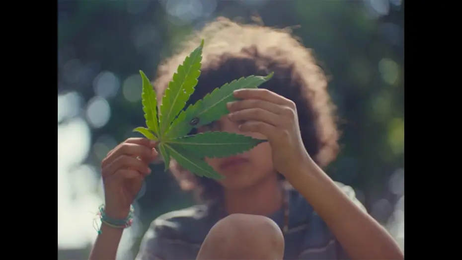 Watch film Grassland | Grassland | Official Trailer