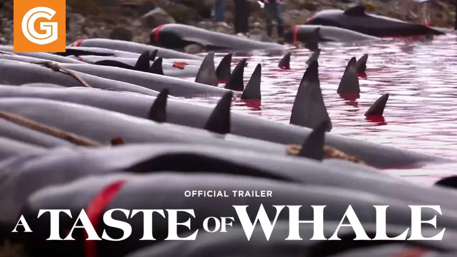 Watch film A Taste of Whale | A Taste of Whale | Official Trailer
