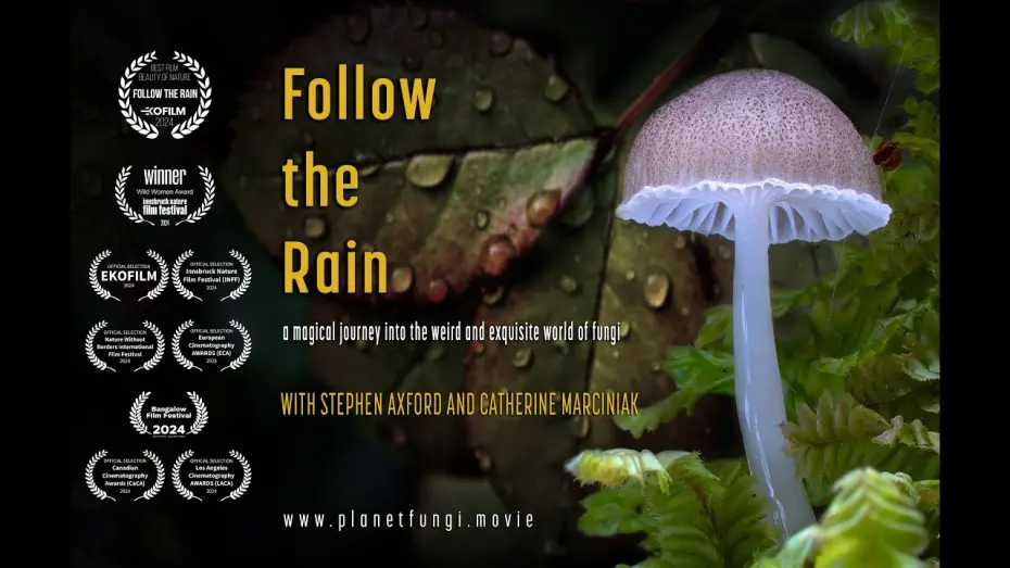 Watch film Follow the Rain | FOLLOW THE RAIN - OFFICIAL TRAILER