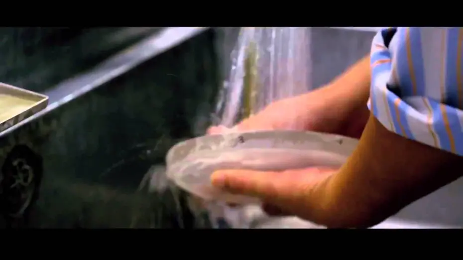 Watch film Bending the Light | Bending The Light Official Trailer 2014   Michael Apted Photography Documentary HD