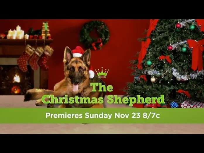 Watch film The Christmas Shepherd | The Christmas Shepherd