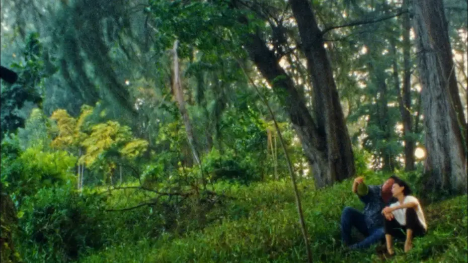 Watch film Durian, Durian | Durian, Durian - trailer | IFFR 2025