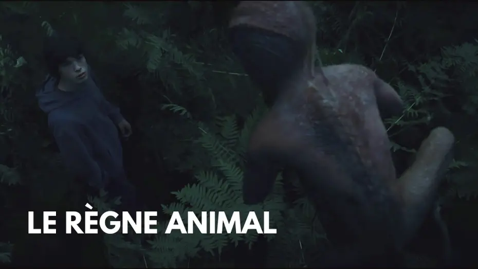 Watch film The Animal Kingdom | The Animal Kingdom (Le règne animal) - Emile Meets With Other Animals