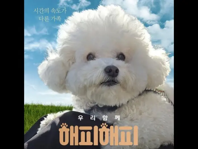 Watch film Happy Happy | 영화 해피해피 영문 예고편