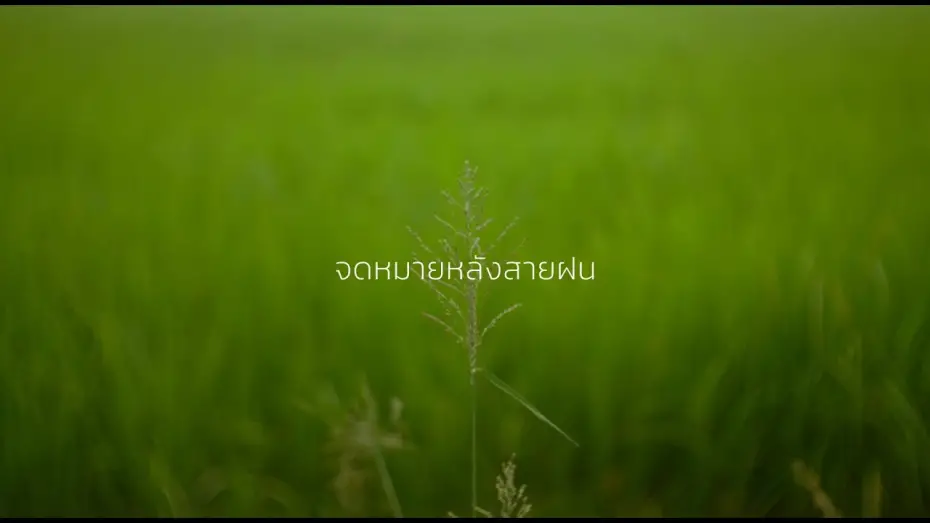 Watch film Letters After Rain | Tester - Letter After Rain | CineFilm Action Film