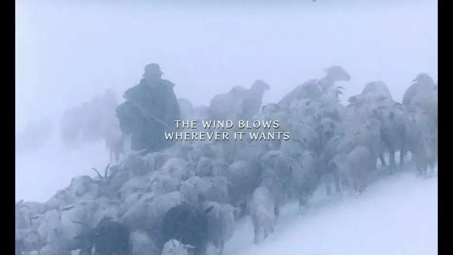 Watch film The Wind Blows Wherever It Wants | "The Wind Blows Wherever It Wants" 2025 Trailer