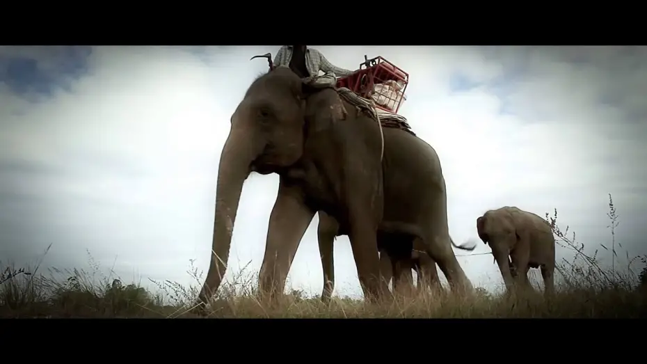 Watch film When Elephants Were Young | When Elephants Were Young Trailer 2016
