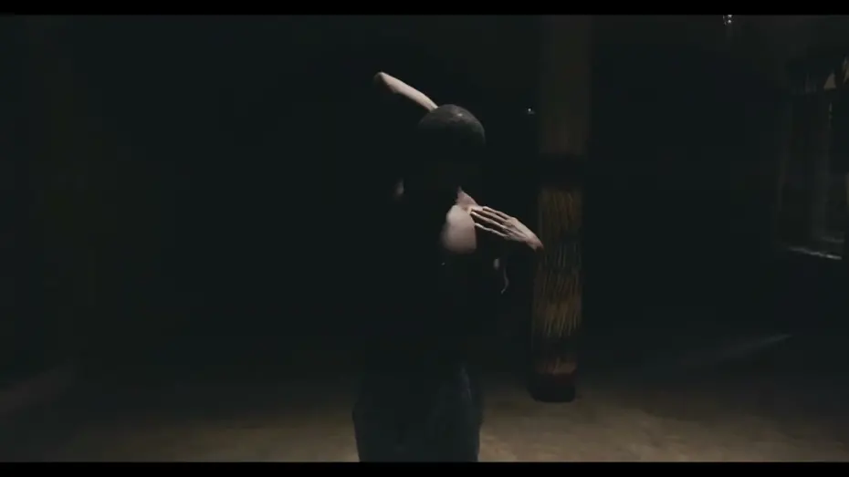 Watch film Danse Macabre | DANSE MACABRE | #DIFF2025 Trailer