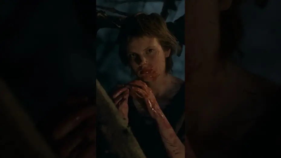 Watch film The Carpenter