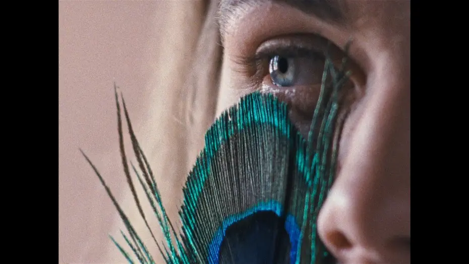 Watch film The Metamorphosis of Birds | Official Trailer