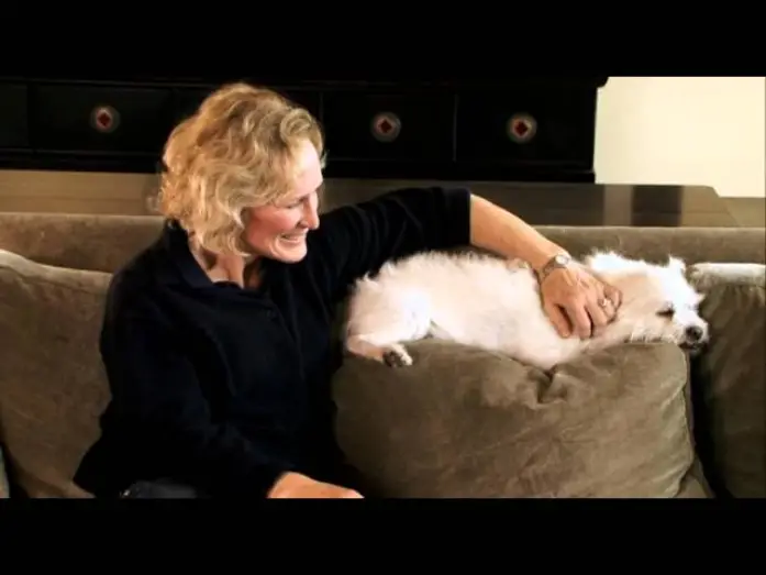 Watch film My Dog: An Unconditional Love Story | My Dog - An Unconditional Love Story