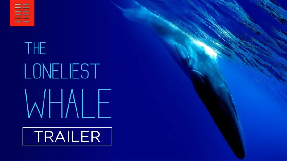 Watch film The Loneliest Whale: The Search for 52 | THE LONELIEST WHALE | Official Trailer | Bleecker Street