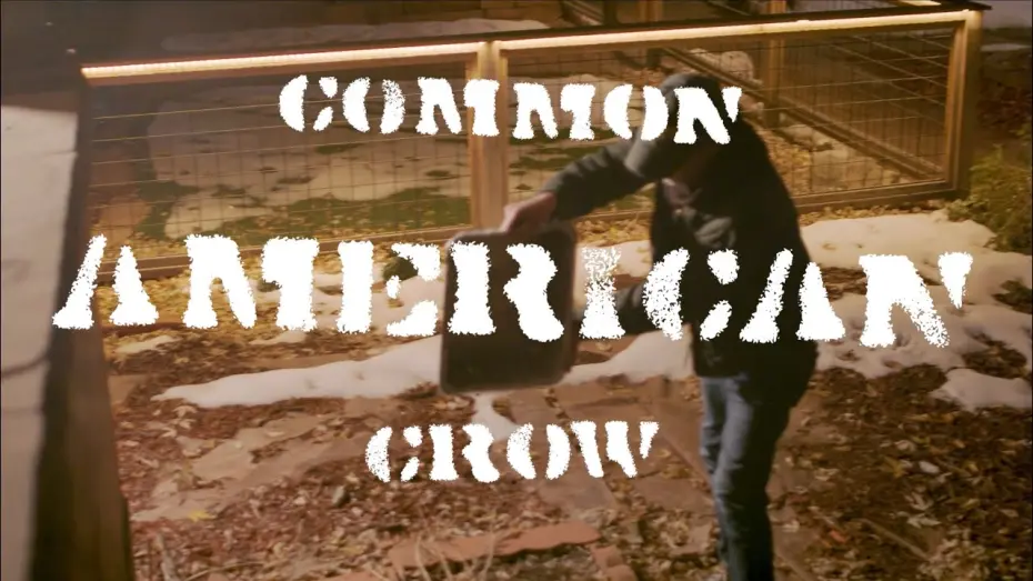 Watch film Common American Crow | Common American Crow [Film Fest Cut]