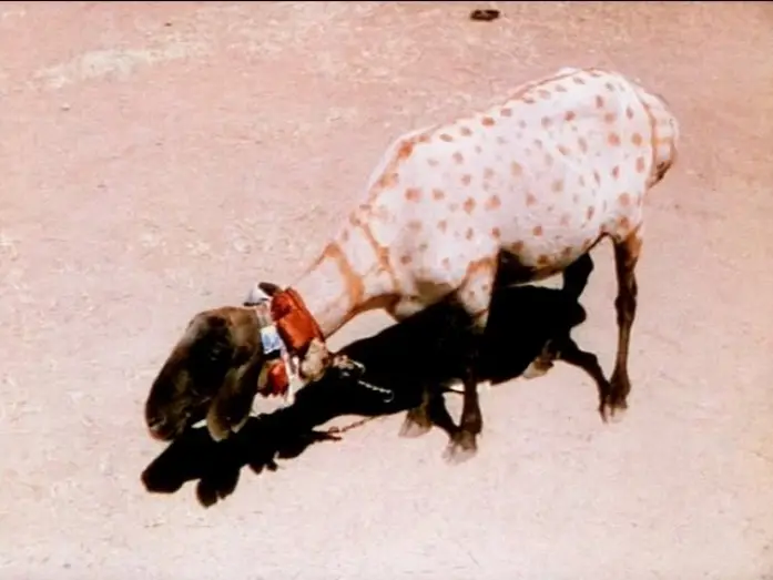 Watch film A Road in India | A Road in India (1938) - Jack Cardiff | BFI