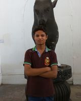md irfan alam alam