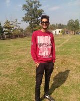 Arsh 