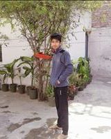 Lucky Pandat