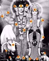Rupesh Tambe
