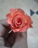 Lucky Bangaram