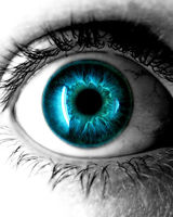 itz sharad