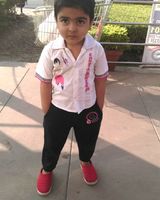 Sultan Singh