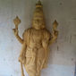 SSandesh Shetty