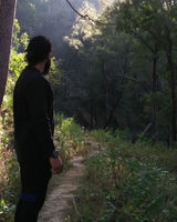 The Traveller