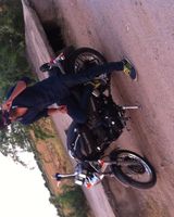 Avinash Pareek