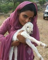 Heer Cb