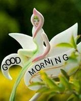 Sreepathi Ashwitha