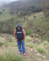 Maneesh Singh