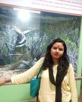 Preety Prasad