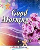 Rachanna Honashatty