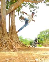 Vipin Kushwaha
