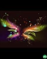 Ankit Shah