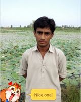 Sajid Ali