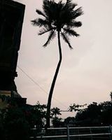 Rishi Chotlani