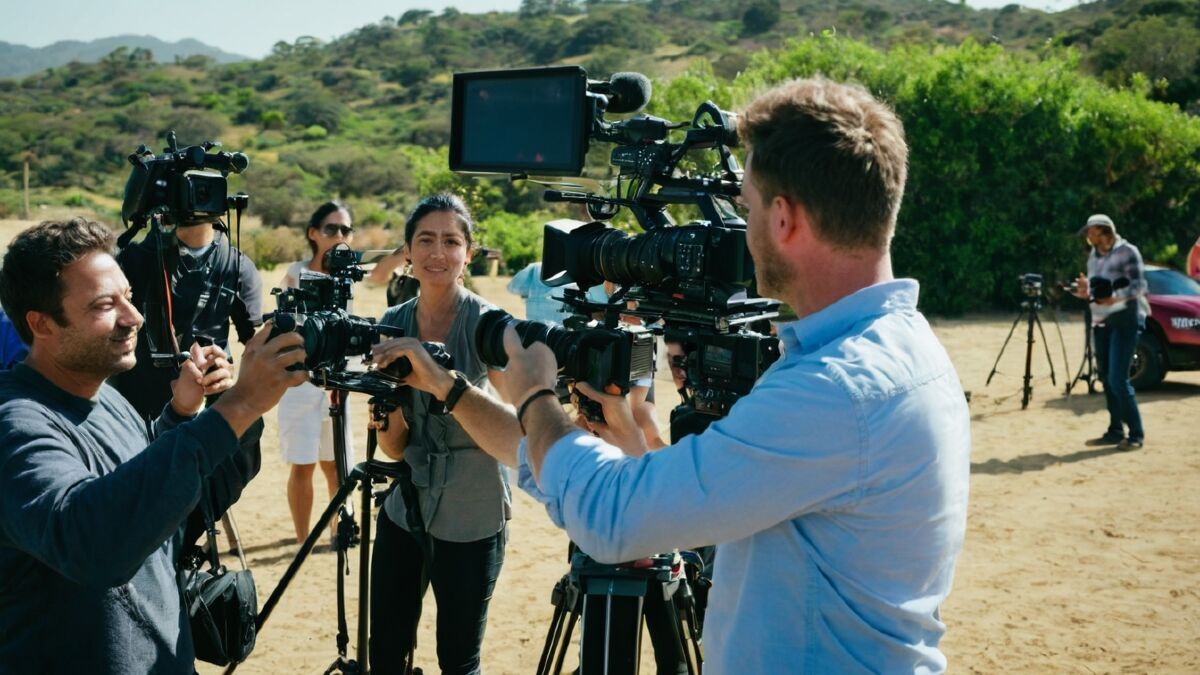 How to Land a Role in an International Project