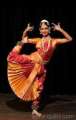 Professional Folk Dancer Required for an Upcoming Event