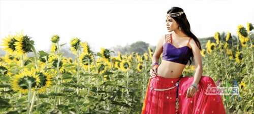 Female Artist Need For Hindi Music Album Song 8-5-0-4-0-0-7-0-3-9