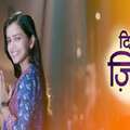 dil ye ziddi hai show running zee tv channel