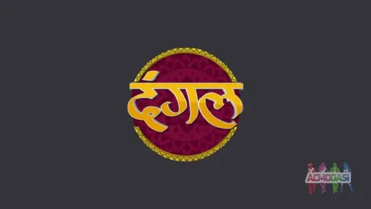 Audition for Dangal T.V serial. "Sanam Mere Humraaz "