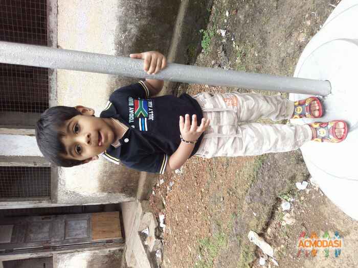 Nita  Rahate photo №26223. Uploaded 27 October 2015